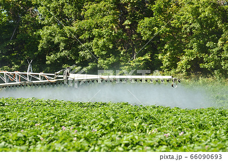 農薬散布中の畑(北海道) 農薬散布中の畑(北海道) 66090693
