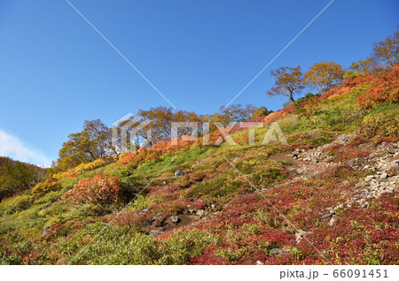 銀泉台の紅葉(北海道・上川町・大雪山系) 銀泉台の紅葉(北海道・上川町・大雪山系) 66091451