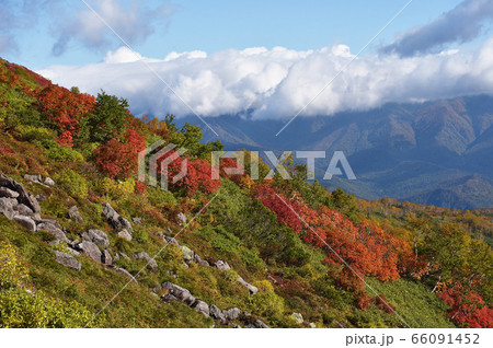 銀泉台の紅葉（北海道・上川町・大雪山系） 66091452