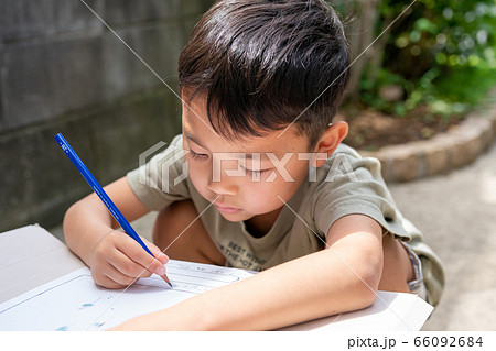 6 years old アサガオの観察 小学生 6 years old アサガオの観察 小学生 66092684