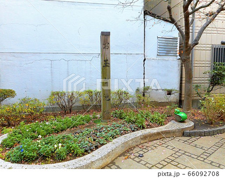 お玉が池跡 お玉が池跡 66092708