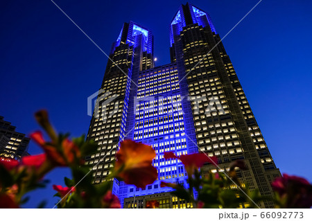 東京都庁 夜景 ブルーライトアップ 66092773