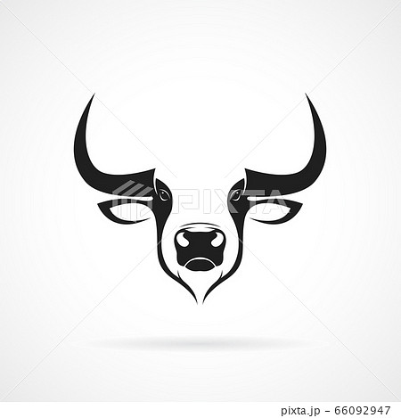 ☆牛画面☆ 投稿詳細｜MOTOCLE