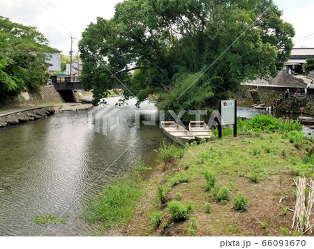 名水百景　熊本の水源地で遊び人々　（熊本県嘉島町　六嘉湧水群・浮島） 66093670