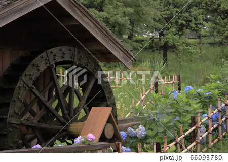 水車とアジサイ 66093780