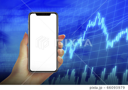 株価チャート 66093979