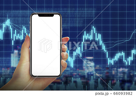 株価チャート 66093982