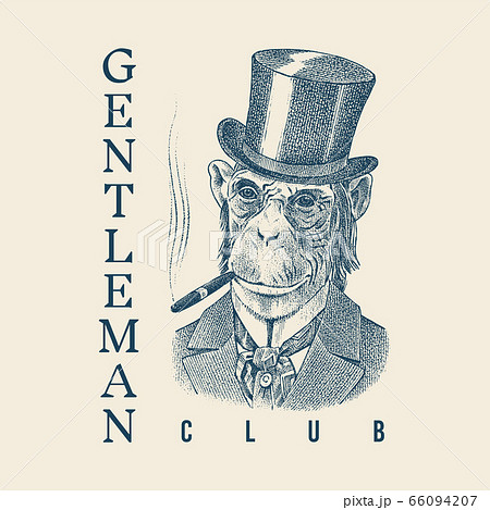 Monkey Gentleman With A Cigar And In A Hat のイラスト素材