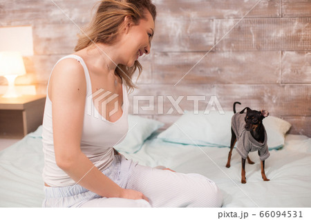 Relaxed woman in pajamasat night looking at her playful dog 66094531