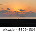 日没と海鳥 長崎県南島原市口之津町早崎地区田尻浜漁港 66094684