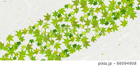 背景 和柄 紅葉 和紙 夏 緑 壁紙 テクスチャー Autumn Leaves Material のイラスト素材