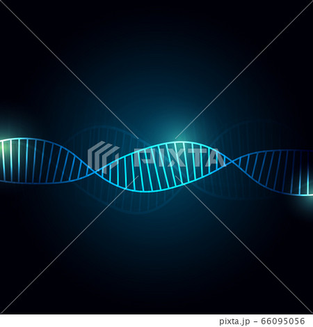 DNA Abstract background with copy space for text , 66095056