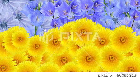 Ukrainian Flag Symbol 66095813