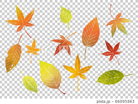 いろんな形の落ち葉 もみじ 紅葉の素材イラスト 水彩 のイラスト素材