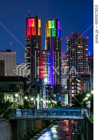 東京都庁 夜景 七色のライトアップ 神田川、花見橋から（中野区） 66097003