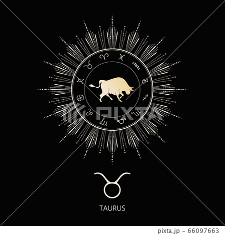 Zodiac sign Taurus. The symbol of the astrological horoscope. 66097663