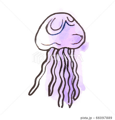 夏のイラスト：クラゲ 66097889