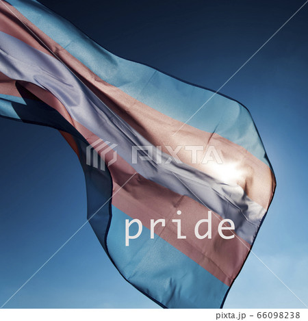 transgender pride flag and word pride transgender pride flag and word pride 66098238