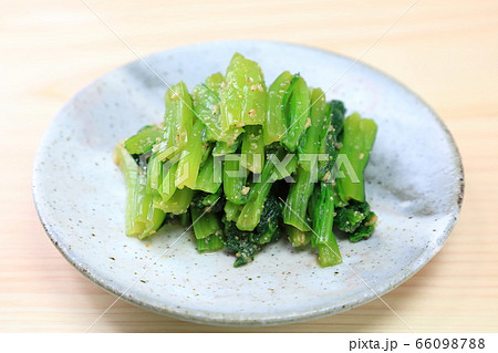 おいしい野菜の和え物 おいしい野菜の和え物 66098788