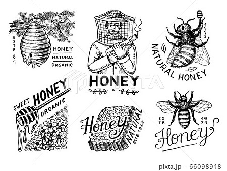 Honey and bees set. Beekeeper man and Honeycombs and hive and apiary. Vintage logo for typography Honey and bees set. Beekeeper man and Honeycombs and hive and apiary. Vintage logo for typography 66098948