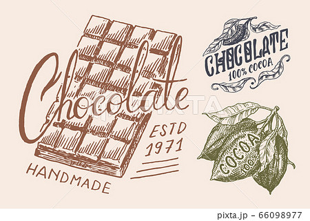Cocoa Beans and chocolate bar. Vintage badge or logo for t-shirts, typography, shop or signboards Cocoa Beans and chocolate bar. Vintage badge or logo for t-shirts, typography, shop or signboards 66098977