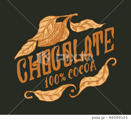 Cocoa leaves. Vintage badge or logo for t-shirts, typography, shop or signboards. Hand Drawn Cocoa leaves. Vintage badge or logo for t-shirts, typography, shop or signboards. Hand Drawn 66099103