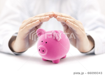 Protect your money. Small pink piggy bank covered by hands 66099343