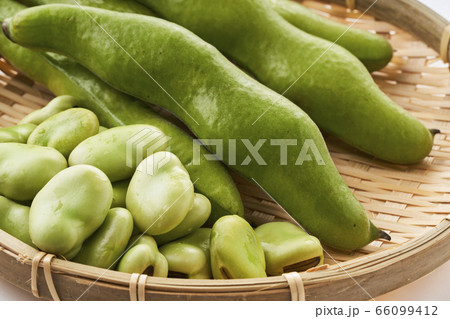 ざるに置いた新鮮なそらまめ 66099412
