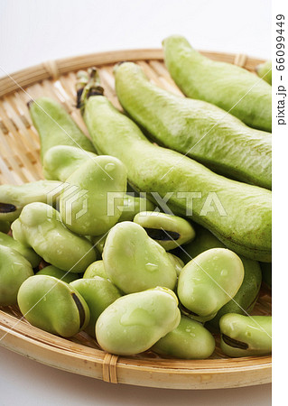 ざるに置いた新鮮なそらまめ 66099449