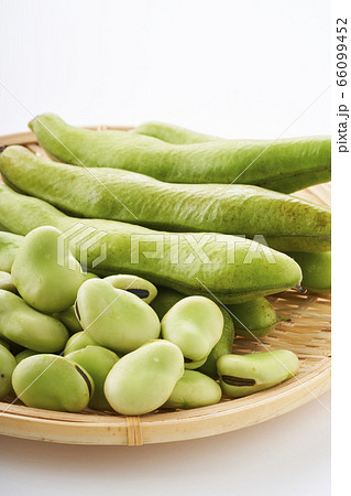 ざるに置いた新鮮なそらまめ 66099452