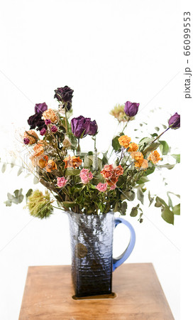 ドライフラワー 66099553