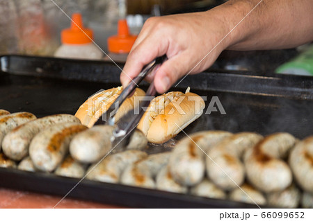 ホットドッグ 66099652