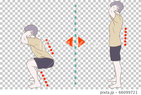 トレーニングの方法、スクワット 66099721
