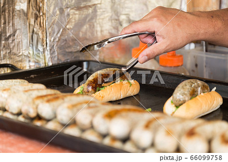 ホットドッグ 66099758