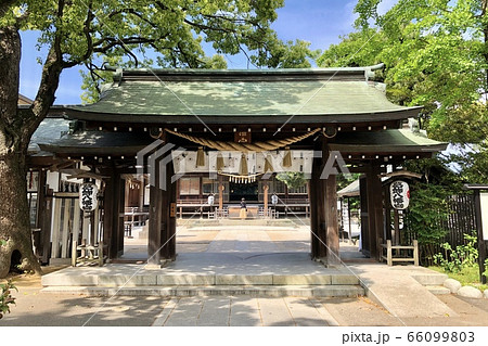 葛飾八幡宮 66099803