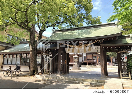 葛飾八幡宮 66099807