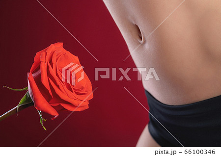 Close-up of a woman's belly and belly button in black underwear on a red background next to a red rose. The concept of hair removal and depilation on the abdomen in women 66100346