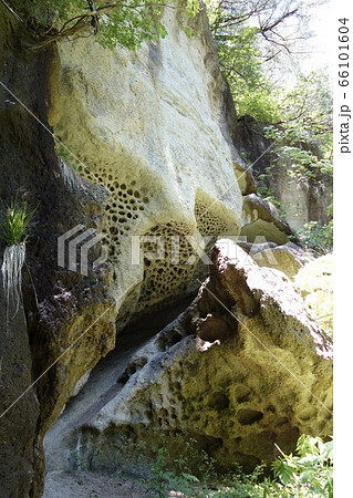 垂水遺跡 66101604