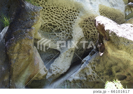 垂水遺跡 66101617