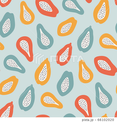 Papaya fruits. Halves of papaya. Hand drawn abstract seamless pattern. Vector  66102020