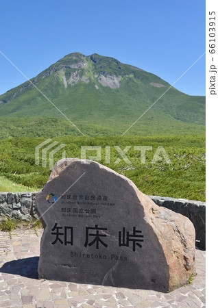 初夏の知床峠から見た羅臼岳（北海道） 66103915
