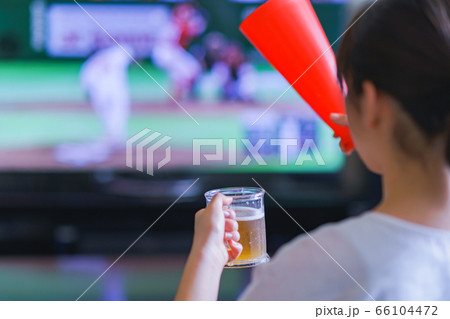 家でスポーツをテレビ観戦する若い女性のイメージ【プロ野球の動画配信サービス】 66104472