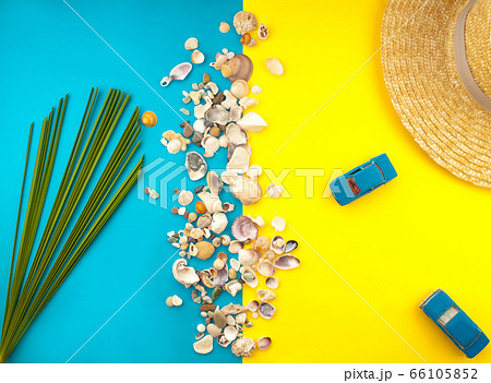 Summer Beach Travel concept. Palm Tree Leaf, straw Summer Beach Travel concept. Palm Tree Leaf, straw 66105852