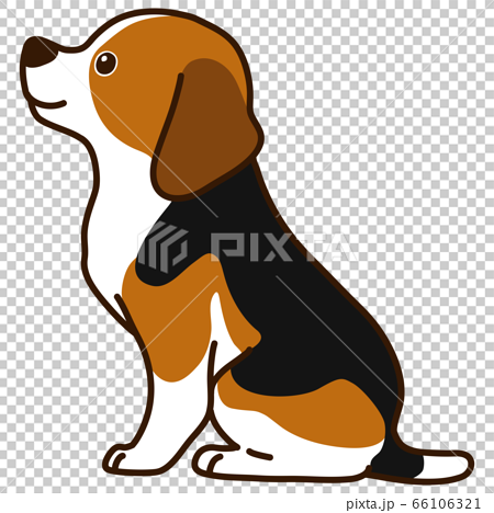 Illustration Of Sitting Beagle With Horizontal Stock Illustration