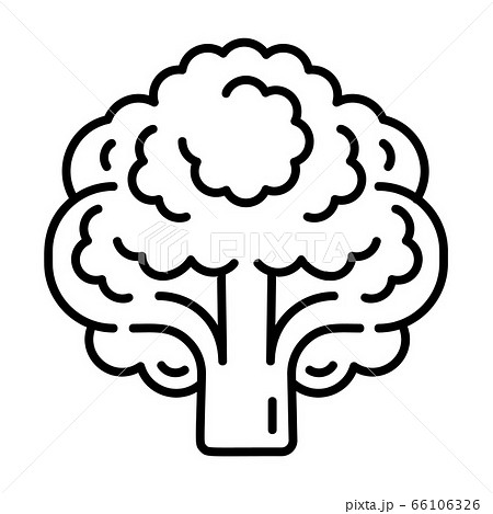 Vegan broccoli icon, outline style 66106326