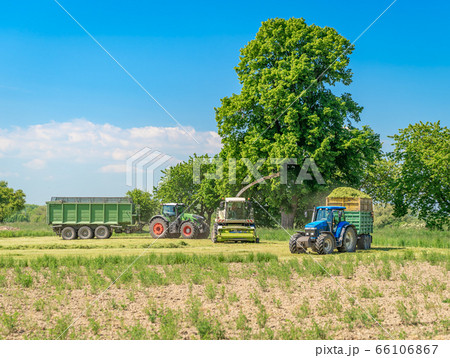 harvesting hay from the field with the help of a combine harvester and a tractor harvesting hay from the field with the help of a combine harvester and a tractor 66106867