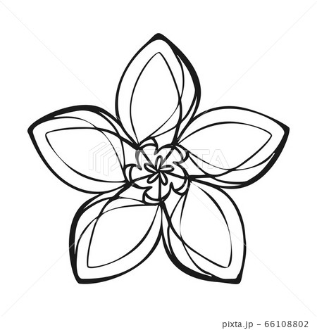 Lily exotic flower icon, simple style Lily exotic flower icon, simple style 66108802