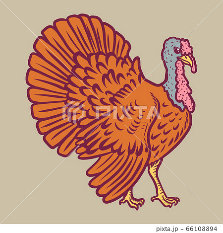 Turkey cock icon, hand drawn style 66108894