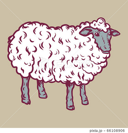 Sheep icon, hand drawn style 66108906
