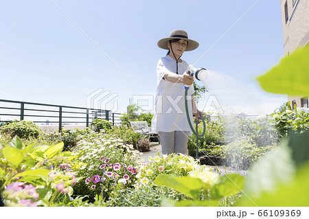 バルコニーの植物に散水するミドルの女性、ガーデニング、散水 66109369